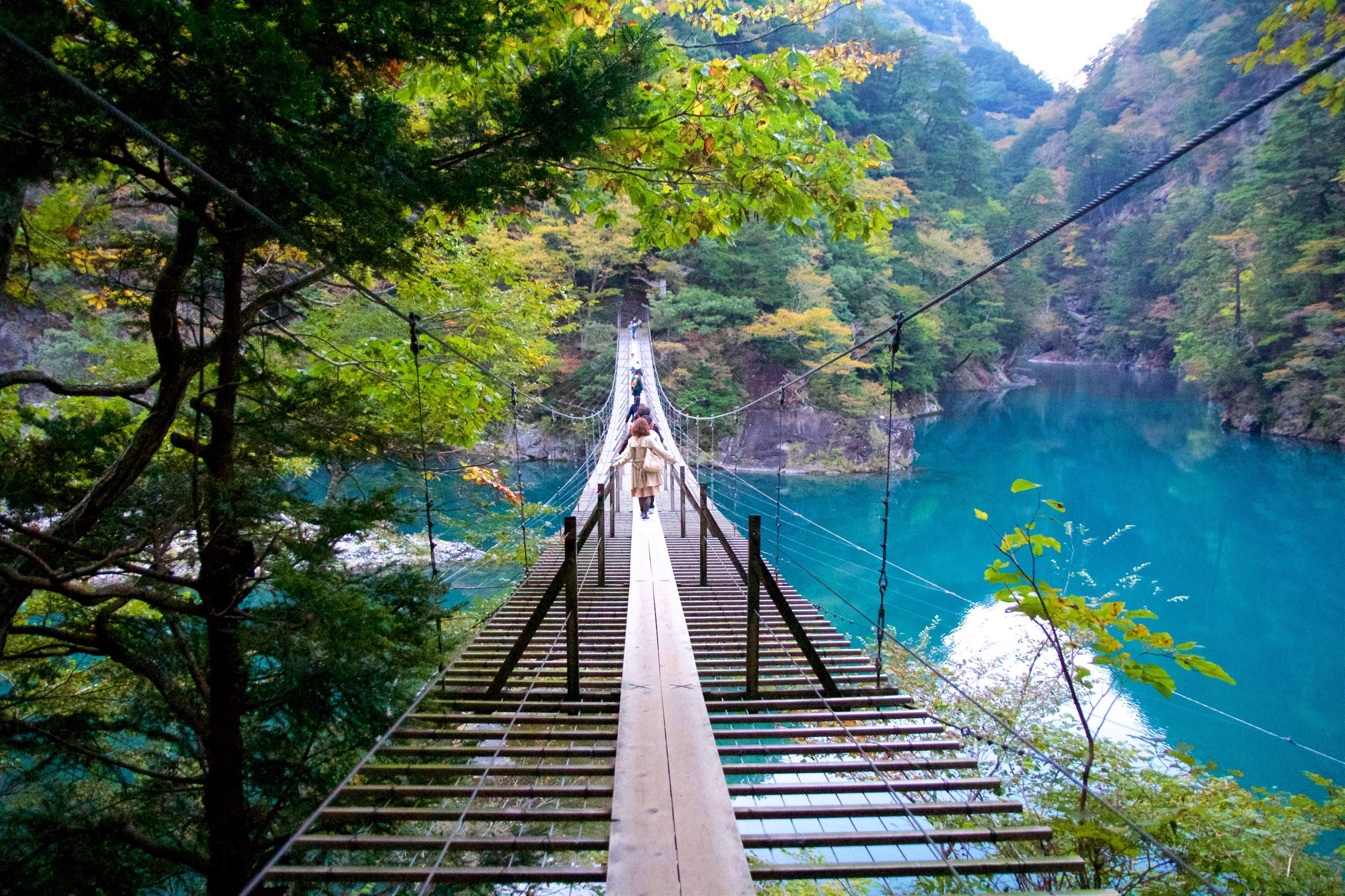 🌉 스마타 협곡 꿈의 현수교 (스마타쿄 유메노츠리바시)